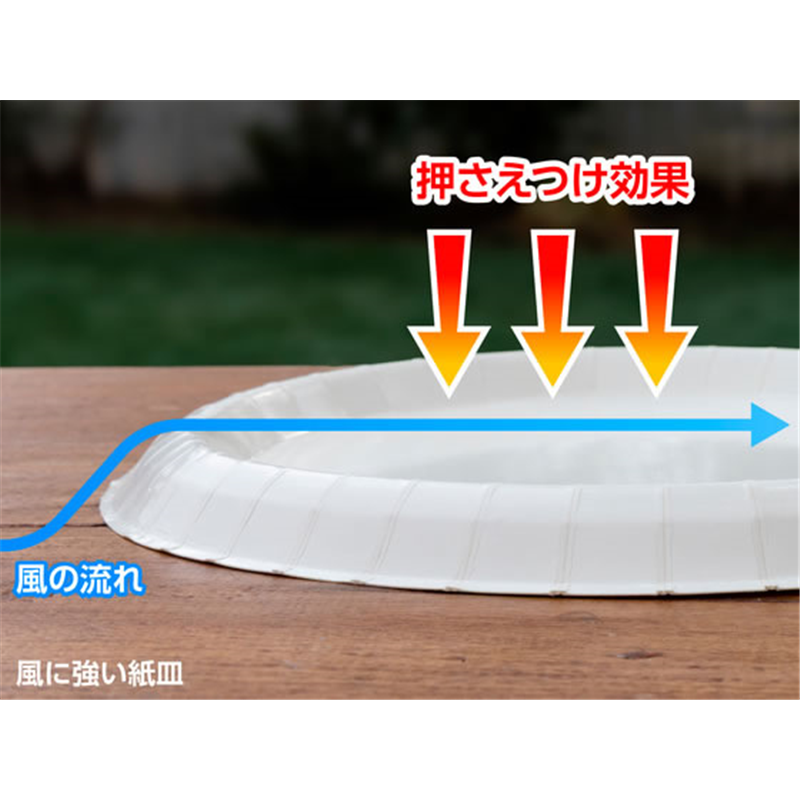 サンナップ 風に強いペーパープレート 21cm 5枚 P2105KSNP 1パック(ご注文単位1パック)【直送品】