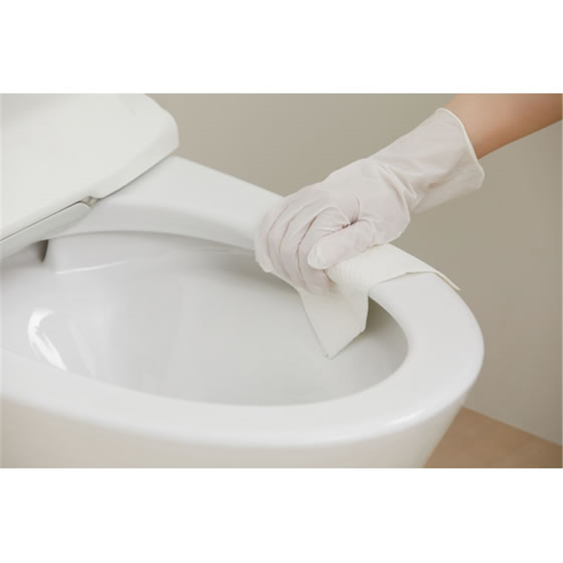 アイリス トルクリーン トイレクリーナー厚手 10枚×2個 T-TA20 1パック(ご注文単位1パック)【直送品】