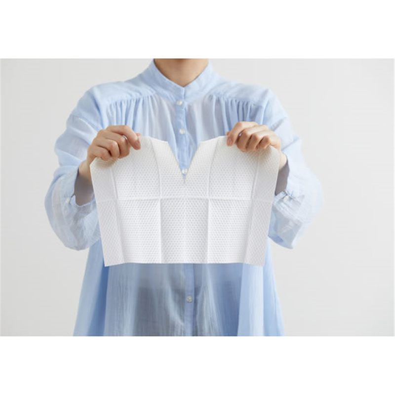 アイリス トルクリーン トイレクリーナー厚手 10枚×2個 T-TA20 1パック(ご注文単位1パック)【直送品】