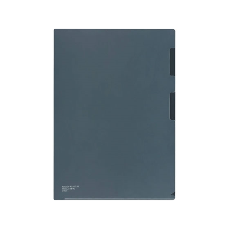 ライオン事務器 PPカラーホルダー A4 透明(T)10枚CF-6N-10P 1セット(ご注文単位1セット)【直送品】