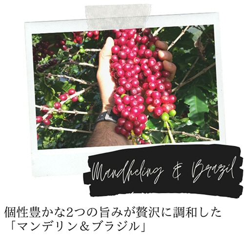 UCC DRIP POD(ドリップポッド) マンデリン&ブラジル 12個/箱 ※軽(ご注文単位1箱)【直送品】