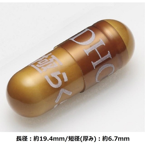 DHC 極らくらく 20日分 1個(120粒)(ご注文単位1個)【直送品】