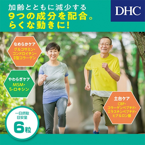 DHC 極らくらく 20日分 1個(120粒)(ご注文単位1個)【直送品】