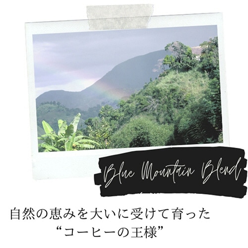 UCC DRIP POD(ドリップポッド) ブルーマウンテンブレンド 1箱(12杯)(ご注文単位1箱)【直送品】