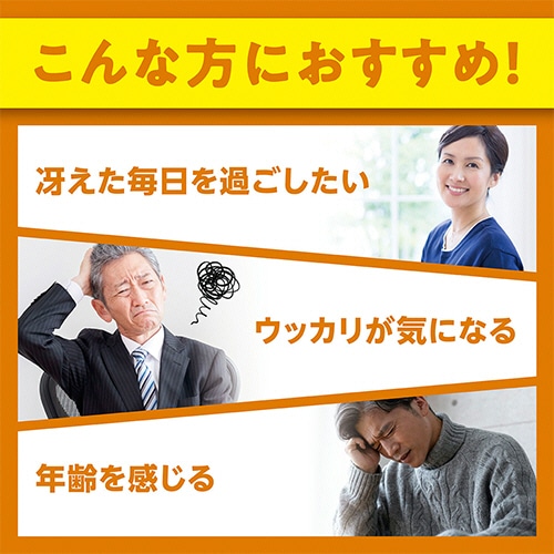 DHC イチョウ葉脳内α 20日分 1個(60粒)(ご注文単位1個)【直送品】