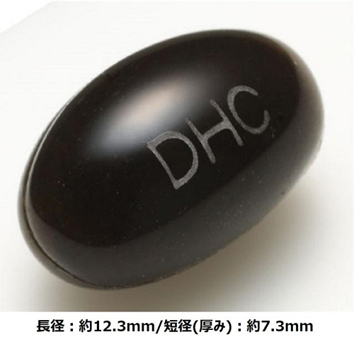 DHC 醗酵黒セサミン+スタミナ 20日分 1個(120粒)(ご注文単位1個)【直送品】