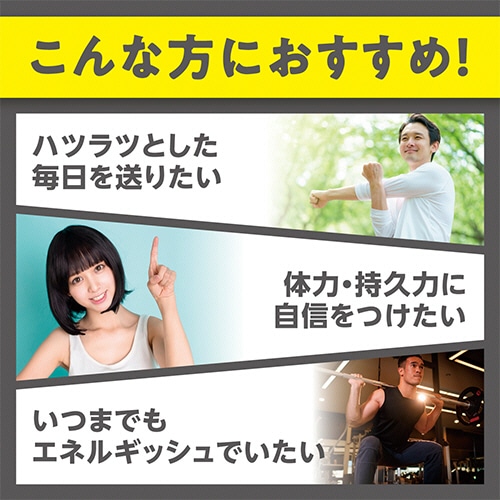 DHC 醗酵黒セサミン+スタミナ 20日分 1個(120粒)(ご注文単位1個)【直送品】