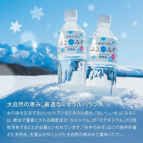 ロジネットジャパン 北海道大雪山ゆきのみず 550ml ペットボトル 1セット(48本:24本×2ケース)(ご注文単位1セット)【直送品】