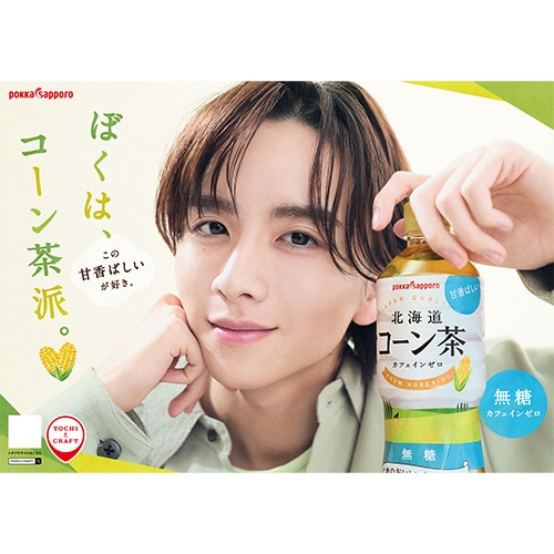 ポッカサッポロ 北海道コーン茶 275mL ペットボトル 1セット(48本:24本×2ケース)/セット※軽（ご注文単位1セット）【直送品】