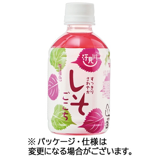 さめうらフーズ すっきりさわやかしそごこち 280mL ペットボトル 1セット(24本:12本×2ケース) ※軽(ご注文単位1セット)【直送品】