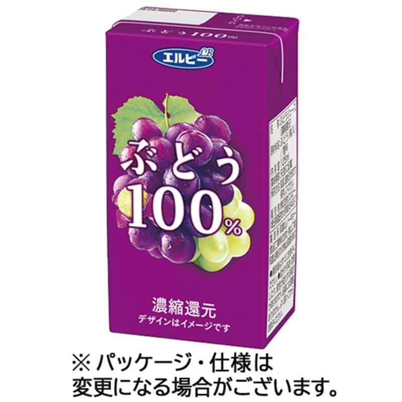 エルビー ぶどう100% 125mL 紙パック 1ケース(24本) ※軽(ご注文単位1ケース)【直送品】