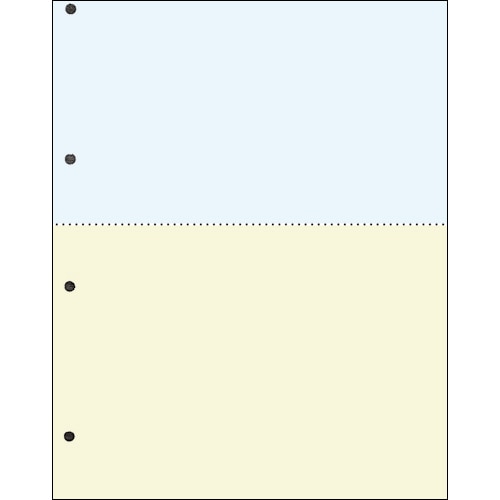 TANOSEE 汎用マルチタイププリンタ帳票 カラー用紙 A4 2分割 4穴 500枚 5冊/箱（ご注文単位1箱）【直送品】