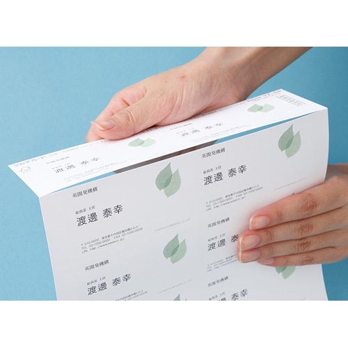 エーワン マルチカード インクジェットプリンタ専用紙 白無地 A4判 10面 名刺サイズ 51132 100枚/冊（ご注文単位1冊）【直送品】