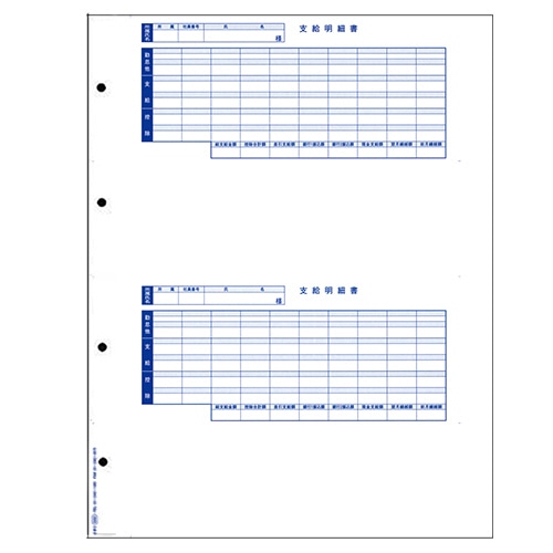オービック 単票封筒用支給明細書 B4タテ 6202 300枚/箱（ご注文単位1箱）【直送品】