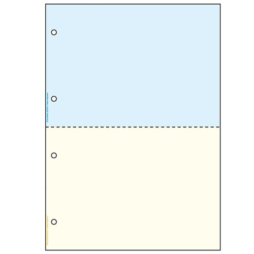 ヒサゴ マルチプリンタ帳票 撥水紙 A4 カラー 2面 4穴 BPW2011 50枚/冊（ご注文単位1冊）【直送品】