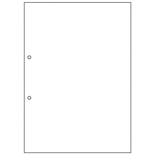 ヒサゴ マルチプリンタ帳票 撥水紙 A4 白紙 2穴 BPW2001 50枚/冊（ご注文単位1冊）【直送品】