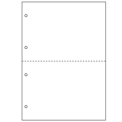 ヒサゴ マルチプリンタ帳票 撥水紙 A4 白紙 2面 4穴 BPW2003 50枚/冊（ご注文単位1冊）【直送品】