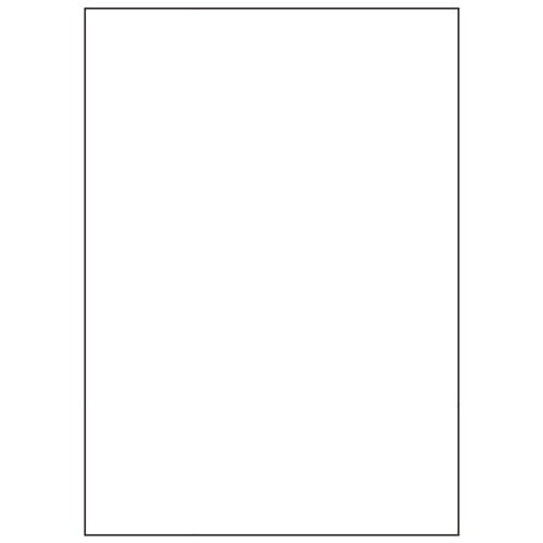 ヒサゴ マルチプリンタ帳票 撥水紙 A4 白紙 BPW2000 50枚/冊(ご注文単位1冊)【直送品】