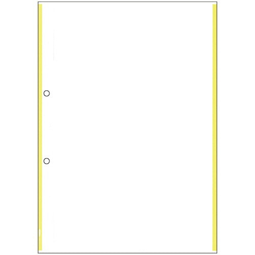 ヒサゴ マルチプリンタ帳票(森林認証紙) 複写タイプ A4 ノーカーボン イエローライン 2穴 FSCF2201 100枚/冊（ご注文単位1冊）【直送品】