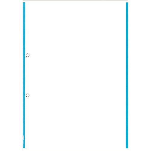 ヒサゴ マルチプリンタ帳票(森林認証紙) 複写タイプ A4 ノーカーボン ブルーライン 2穴 FSCF2200 100枚/冊（ご注文単位1冊）【直送品】