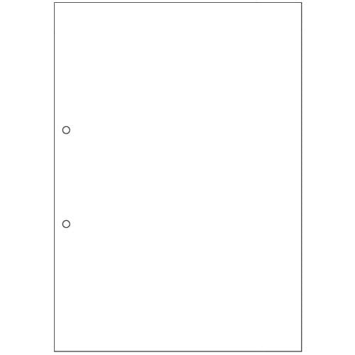 ヒサゴ マルチプリンタ帳票(森林認証紙) 複写タイプ A4 ノーカーボン 白紙 2穴 FSCF2001 100枚/冊（ご注文単位1冊）【直送品】