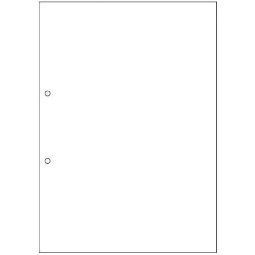 ヒサゴ マルチプリンタ帳票(エコノミープライス) A4 白紙 2穴 BPE2001 2500枚/箱（ご注文単位1箱）【直送品】