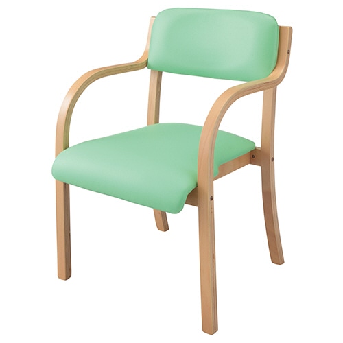 ホームスタイリング スタッキングチェアー カーム ビニールレザー グリーン SCC-GN-NA 1脚（ご注文単位1脚）【直送品】