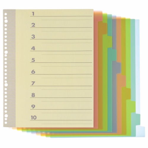 TANOSEE インデックス(PP) A4タテ 2・4・30穴 10山1組 1パック(ご注文単位1パック)【直送品】