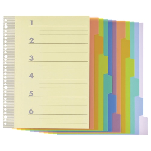 TANOSEE インデックス(PP) A4タテ 2・4・30穴 6山2組 20袋/セット（ご注文単位1セット）【直送品】