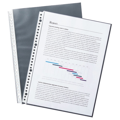 TANOSEE クリアファイル用リフィル (厚口タイプ) A4タテ 2・4・30穴