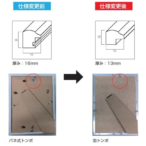 ナカバヤシ デジタルプリントフレーム A5/2L判兼用 DGF-DPA5 1枚(ご注文単位1枚)【直送品】