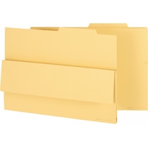 ライオン事務器 持出しフォルダー A3 クリーム A3-APF 10冊/セット(ご注文単位1セット)【直送品】