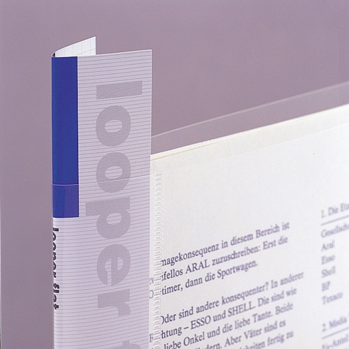 リヒトラブ ルーパーフラット A4タテ 2穴 100枚収容 赤 F-52-3 1冊（ご注文単位1冊）【直送品】