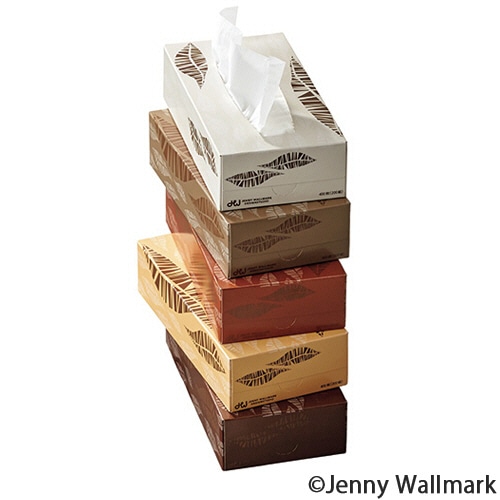 TANOSEE ティッシュペーパー Feathers 200組 5箱/袋(ご注文単位1袋)【直送品】