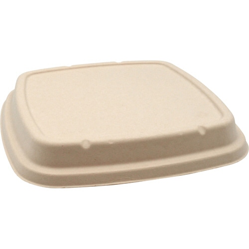 パックスタイル BB竹バガス弁当 N23-23F 共蓋 235×235×高さ18mm 50枚/袋(ご注文単位1袋)【直送品】