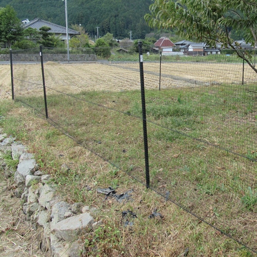 マツモト 防獣ネット 黒透(くろすけ) (目合16×16mm) 1.5m×50m 1巻(ご注文単位1巻)【直送品】