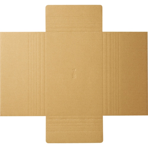 TANOSEE タトウ式段ボール Bフルート A4用 50枚/袋(ご注文単位1袋)【直送品】