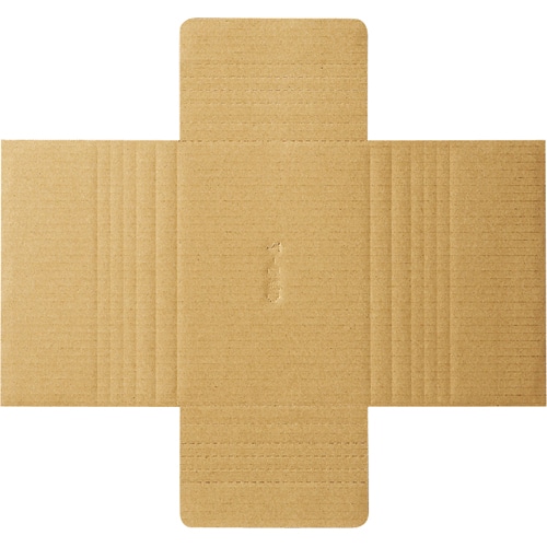 TANOSEE タトウ式段ボール Bフルート DVD用 50枚/袋(ご注文単位1袋)【直送品】