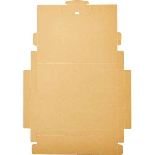 TANOSEE 発送ダンボール クリックポスト対応 A4 大 10枚/袋（ご注文単位1袋）【直送品】