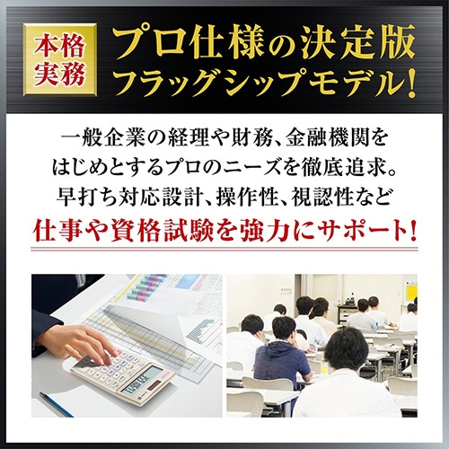 カシオ 本格実務電卓 時間計算 12桁 デスクタイプ DS-12WT-N 1台(ご注文単位1台)【直送品】