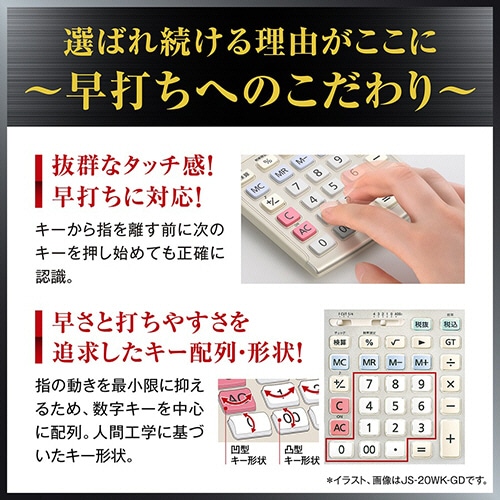 カシオ 本格実務電卓 時間計算 12桁 デスクタイプ DS-12WT-N 1台(ご注文単位1台)【直送品】