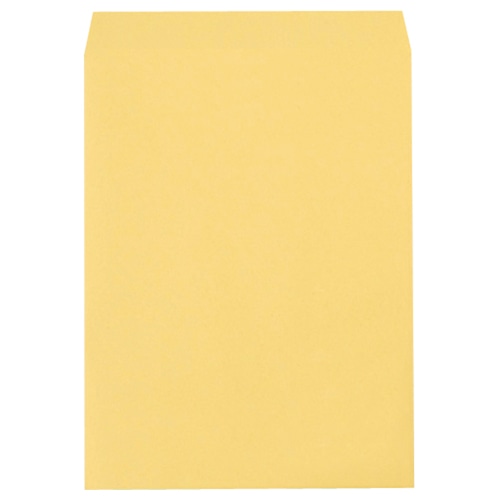 TANOSEE R40クラフト封筒 角0 85g/㎡ 100枚/袋(ご注文単位1袋)【直送品】