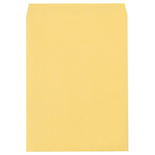 TANOSEE R40クラフト封筒 角0 85g/㎡ 業務用パック 500枚/箱(ご注文単位1箱)【直送品】