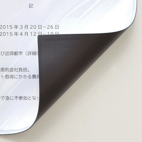 TANOSEE マグネットカードケース ツヤ消し A5 白 1枚（ご注文単位1枚）【直送品】