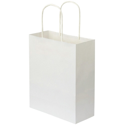 TANOSEE 紙手提袋 丸紐 特小 ヨコ200×タテ245×マチ幅90mm 白無地 50枚 6袋/箱(ご注文単位1箱)【直送品】