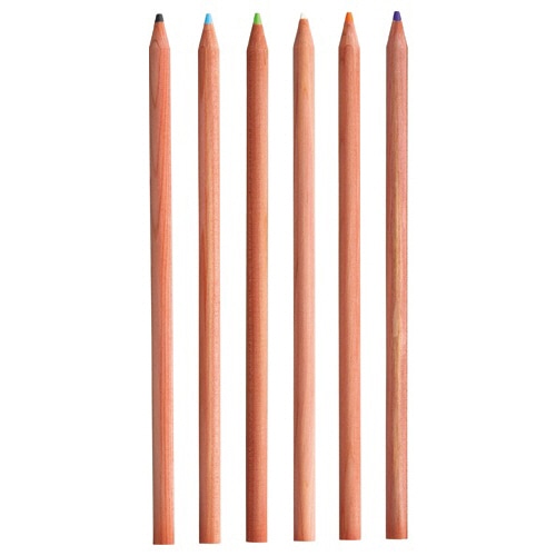 TANOSEE 色鉛筆 12色(各色1本) 1セット(ご注文単位1セット)【直送品】