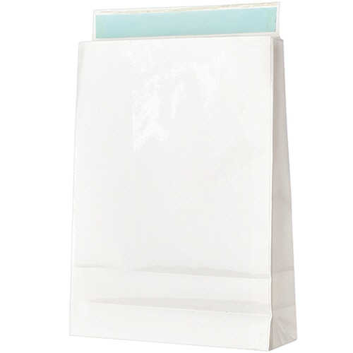 TANOSEE 宅配袋 PPフィルム加工 大 白 封かんテープ付 100枚/袋（ご注文単位1袋）【直送品】