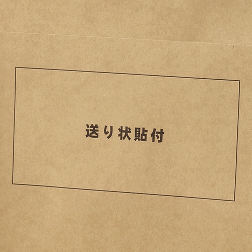 TANOSEE 宅配袋 撥水ニス加工 小 茶 テープ付 100枚/袋(ご注文単位1袋)【直送品】