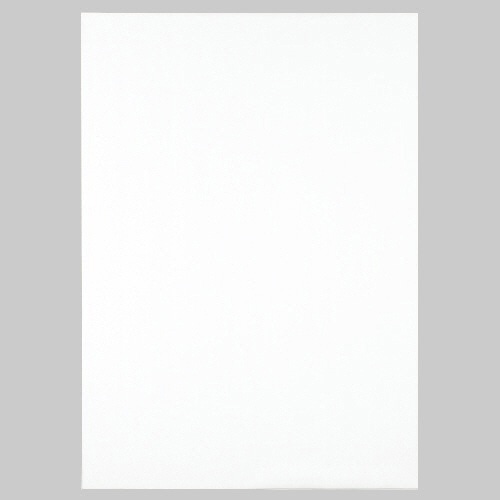TANOSEE 模造紙(プルタイプ) 詰替用 765×1085mm 無地 ホワイト 20枚 3本/箱（ご注文単位1箱）【直送品】