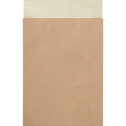 キングコーポレーション ポストイン定形外封筒 100g/㎡ 未晒クラフト 190411 100枚/箱(ご注文単位1箱)【直送品】